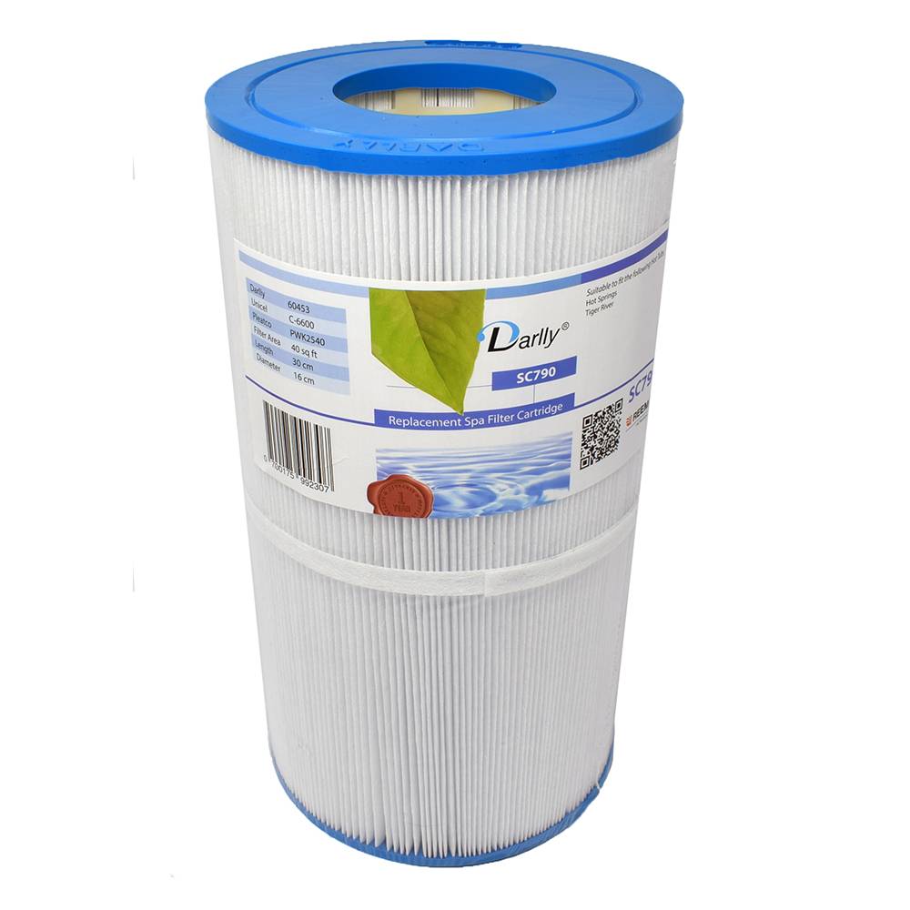 Spafilter 60453